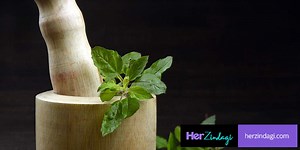 Here Is How You Can Use Tulsi In Different Ways For Its Health Benefits | Herzindagi