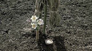 Zatoichi (2003) [1080p x265 10bit]