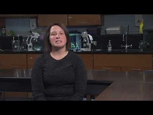 The Science of Wastewater Lab Part 6: Day 1. Test 2 - After Primary Treatment