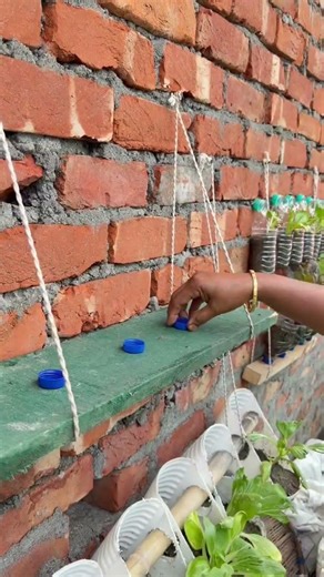 Turn TRASH into a Garden! 🌱 Plastic Bottle Vertical Farm #Shorts