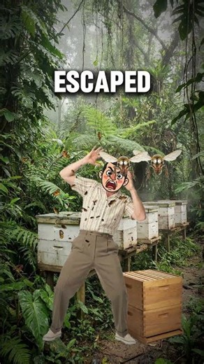 The Bee Experiment That Escaped the Lab 🐝🚫