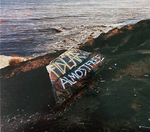 Fidlar - Almost Free