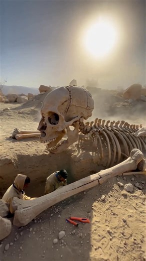 3.8K views | Scientists Stunned After Discovering Massive Humanoid Fossil in Remote Desert . . #Breaking #news | ASMR.com | Facebook