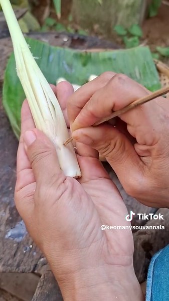 สะใภ้ปากเช on TikTok