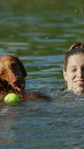 🏊‍♀️🐾 3 Tips for Swimming with Your Dog! 🐾🏊‍♀️ Summer is here, and it's the perfect time to enjoy the water with your dog. Watch our latest reel for some great advice on ensuring a safe and enjoyable swimming experience with your dog. 🌞🐕 💚 Don't miss out on our Summer Sale! Discover great discounts on online training programs designed to help you build an unforgettable connection with your dog! Dive into the savings: https://hubs.li/Q02CY0MP0 #OneMindDogs #DogSwimming | OneMind Dogs