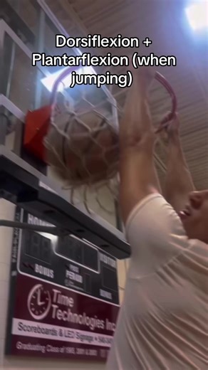 Understanding Key Anatomical Movements