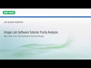 Image Lab Software Tutorial: Purity Analysis