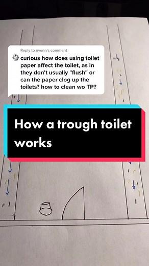 Understanding Trough Bathrooms: Functionality Explained