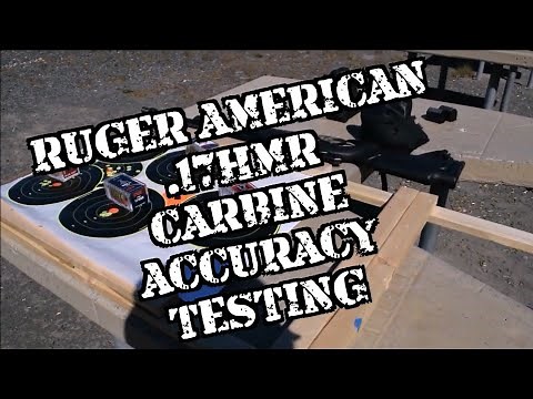 RUGER AMERICAN .17 HMR ACCURACY TESTING