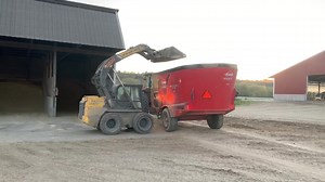 14K views · 491 reactions | Around here, cows get fed before anyone...