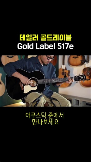 테일러 골드레이블 517e