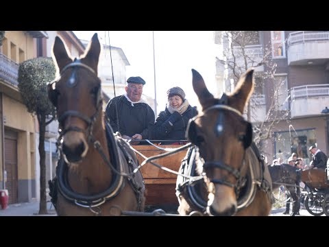 Taradell enceta la temporada de Tonis amb menys animals, però potenciant el patrimoni local