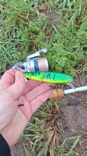 that 2 out of the 30 pack of lures from temu that have caught me a fish #lurefishing #pike #temu #challenge #girlsfishing