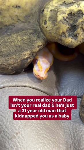 This realization left her emotionally damaged😂🐍🫶