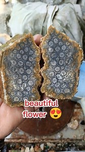 2.4M views · 10K reactions | ordinary artwork from home agate craftsmen Beautiful flower #gemstones #curving #jade #fosil #jewelry #gemstone #handmade #gems #amethyst #healing #mineral #geology #nature #crystalcollection #fashion #lapidaryartist #gemsfaceting #agatecollector #batuakik #jewelry #agate #batuakiknusantara #viral #fyp #fypageシ #gemstoneindonesia #art #fypシ゚ | Supra Afrianto | Facebook