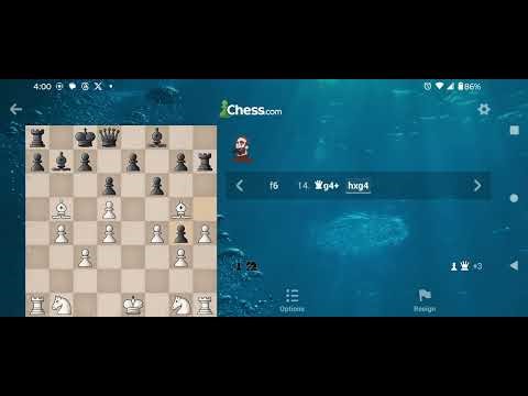 Chess | Game 6