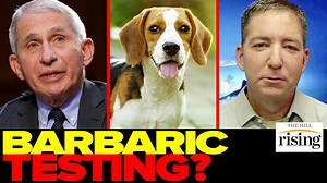 22K views · 1.2K reactions | Journalist Glenn Greenwald explains the NIH's history of funding harmful experiments on dogs. | HILL TV | Facebook