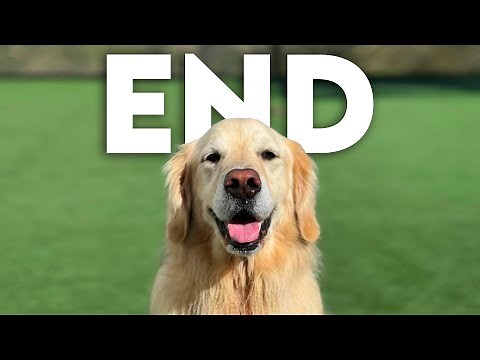 The Last Episode of Super Cooper Sunday