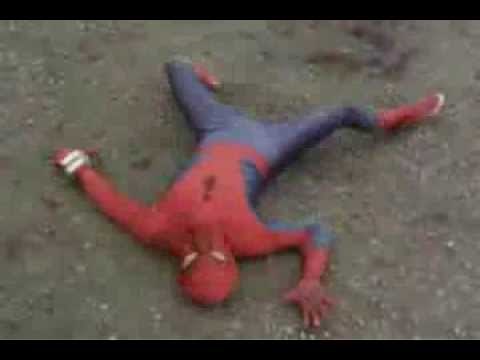 world martial arts champion, spiderman