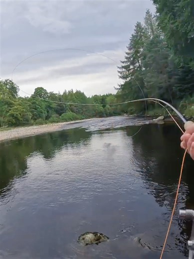 Salmon Fly Fishing on the River Findhorn, Scottish Highlands