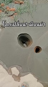 3.3M views · 22K reactions |  | ดอนช้างแฟนเพจ บ้านเฮา | Facebook