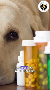 2.2K views · 82 reactions | Keep ticks and fleas away with our Tick Free Combo!  | Fur Ball Storyᵀᴹ | Facebook