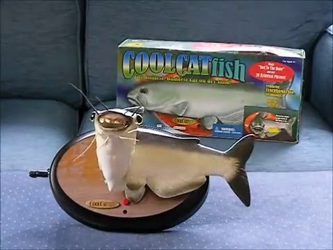 Cool Catfish - Singing Fish
