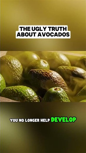 🥑 THE PROBLEM WITH MODERN AVOCADOS