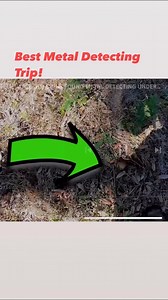 That time Gone Diggin and I did some Metal Detecting in Florida! #metaldetecting #metaldetect #metaldetector | Adventure Archaeology And Southern Diggers