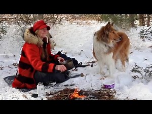 12 years of camping with my dog
