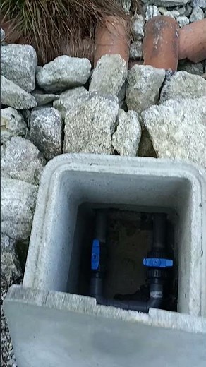 Phyto épuration et boutures