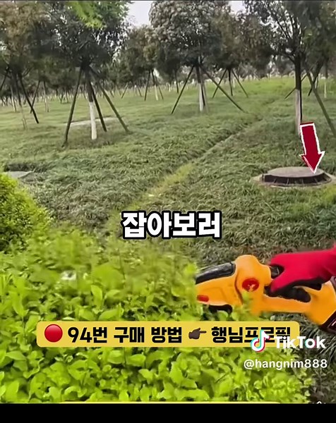 전동 예초기 구매 가이드와 추천템