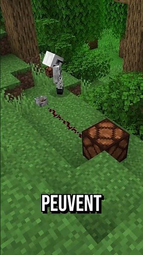 Du RayTracing en Redstone ?