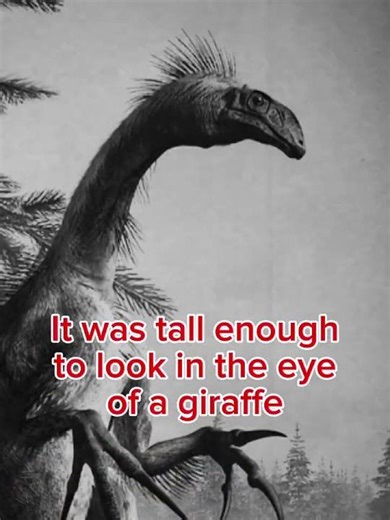 Therizinosaurus was more horrifying than we thought #therizinosaurus #dinosaur #extinct