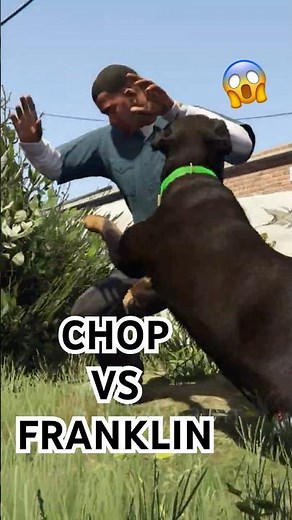 Franklin vs Chop #gta5 #gtav #gta