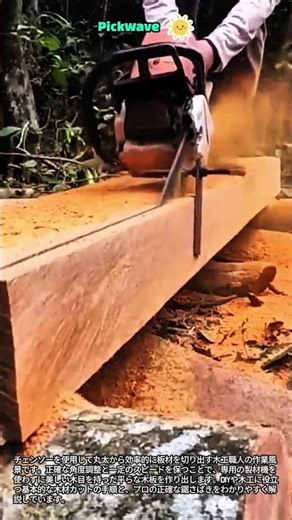 専用機械なし！チェーンソー1本で綺麗な木板を作る職人技 #worker #process #craftsmanship #chainsaw #Shorts #おすすめ #バズれ #運営さん大好き