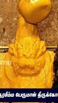 Srirangam Athi Varadar Abhishekam | Rare Divine Vishnu Darshan | Powerful Blessings