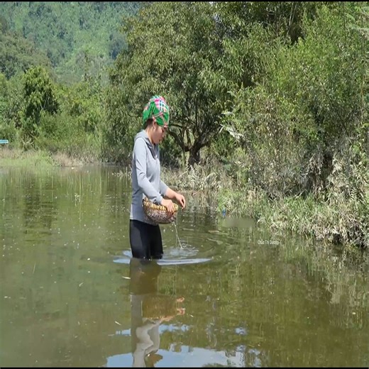 Catch fish, trap fish, harvest giant fish to sell and buy some fruits for my kids #joyoffishing #lifestyle #rurallife #viralvideo | Master Vid