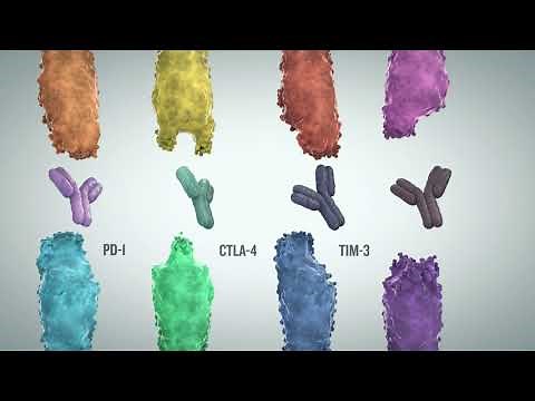 Biomarker Based Companion Diagnostics Are Enabling Precision Oncology