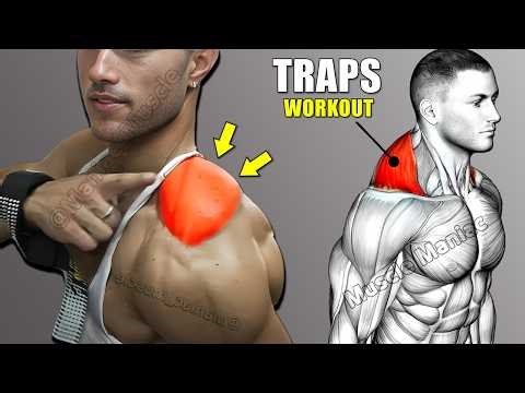 8 BEST EXERCISE TRAPS WORKOUT 🔥