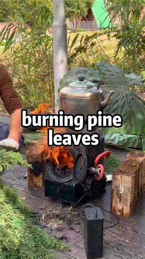 7.8K views · 52 reactions | burn pine needle without smoke#woodstove #cooking #outdoorstove #outdoors | Wood-burning Stove | Facebook