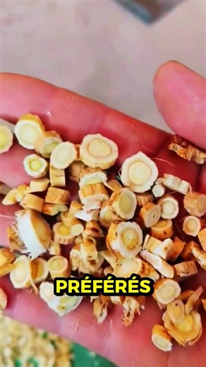 Incredible industrial machines #industry #satisfying #machine #unusual #work