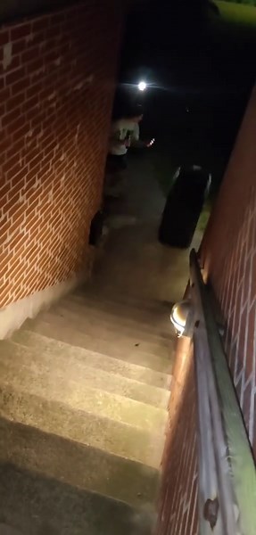 Exploring Farmer Antics: A Look at Redneck Humor