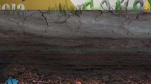 1K views · 17 reactions | مول الفيرمة 2 رمضان 2019 #KAMEL | راك في وهران³¹ | Facebook