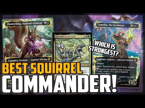 Who Is The BEST Squirrel Commander? No Single Choice?! - Magic: The Gathering