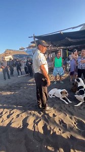 466K views · 7K reactions | LLEGARON CON MASCARILLAS PARA NO SER RECONOCIDOS, Y APOLLADOS POR PNC. Problemas por espacios en Champerico. | Canal 46 News Nuestro Canal | Facebook