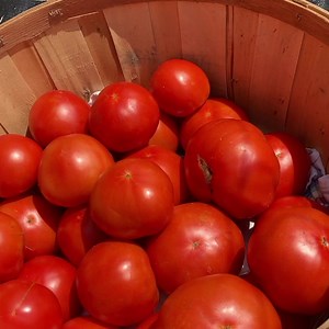 5.2K views · 888 reactions | This is summer. | Living Traditions Homestead | Facebook