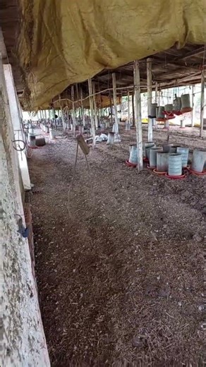 27 de fevereiro de 2026