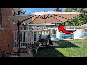 This is a HUGE Offset Patio Umbrella! So Much Shade!