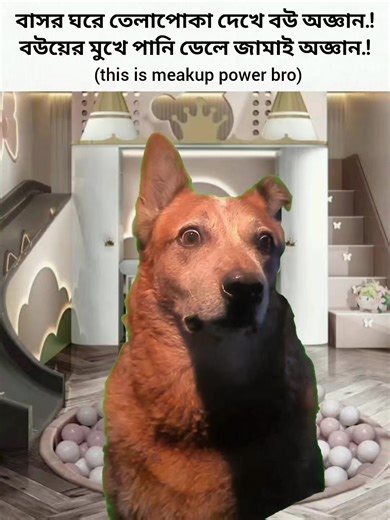 Makeup Power: A Fun Journey